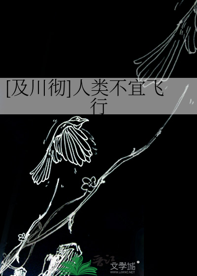 [及川彻]人类不宜飞行