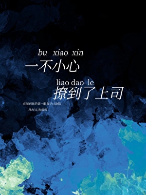 一不小心撩到了上司