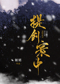 提剑寰中