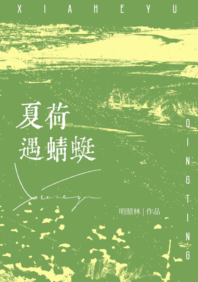 夏荷遇蜻蜓
