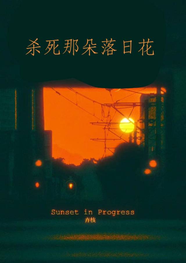 杀死那朵落日花