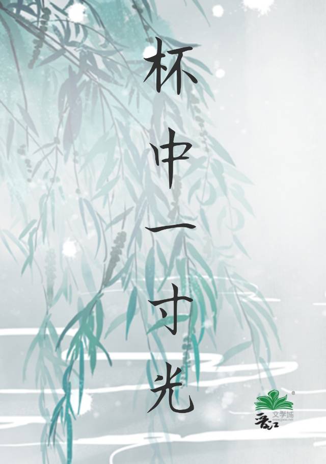 杯中一寸光
